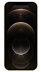 iPhone 12 Pro Max 5G 256GB Gold Front