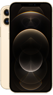 iPhone 12 Pro Max 5G 256GB Gold
