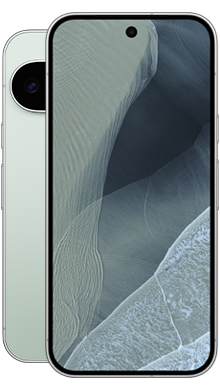 Google Pixel 11 Pro 256GB Fog