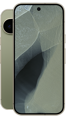 Google Pixel 11 Pro 256GB Olive