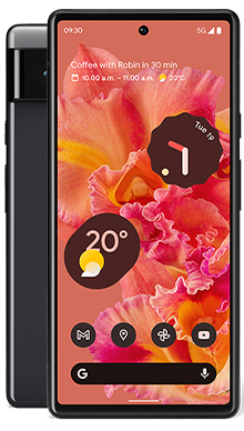 Google Pixel 6 5G 128GB Stormy Black