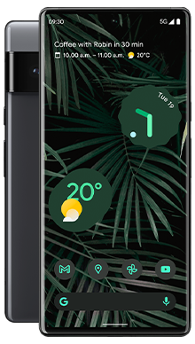 Google Pixel 6 Pro 5G 128GB Stormy Black