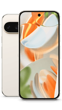 Google Pixel 9 Pro 256GB Porcelain