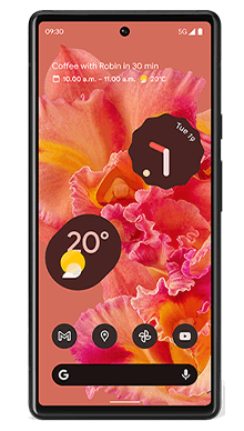 Google Pixel 6