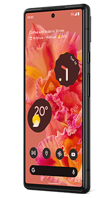 Google Pixel 6