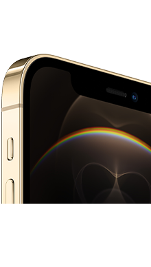 iPhone 12 Pro 5G 256GB Gold Back