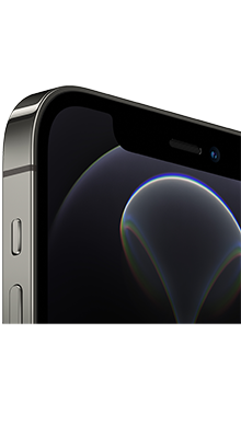 iPhone 12 Pro 5G 256GB Graphite Back