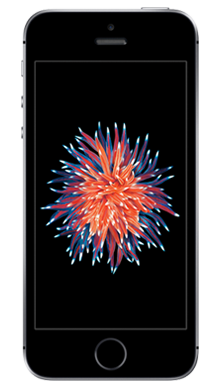 Apple iPhone SE 32GB Space Grey Front