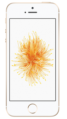 Apple iPhone SE 32GB Gold Front