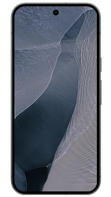 Google Pixel 11 Pro XL 256GB