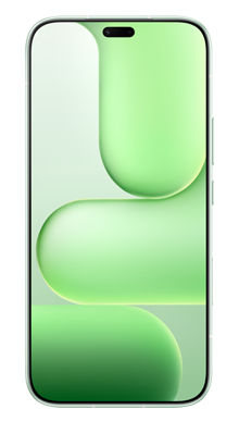 HONOR 600 Lite 256GB in Green