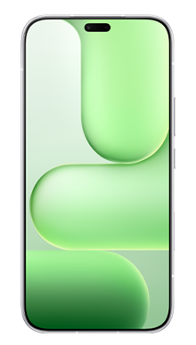 HONOR 600 Lite 256GB in Grey