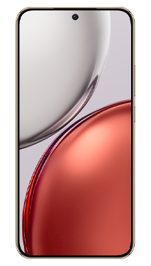 512GB in Reddish Brown