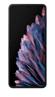 Oppo Find N2 Flip 256GB in Purple