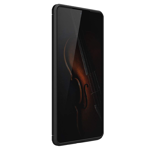 Huawei P30 CarbonAir Case Xquisite Black Back